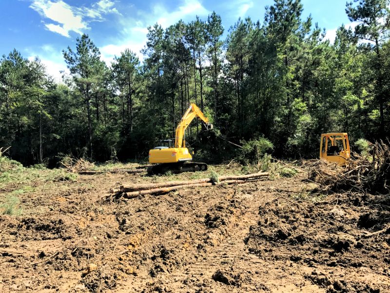 Experienced Land Clearing Crew